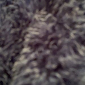 Meet your Posher, Savannah